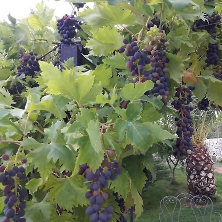 Caramia Locorotondo